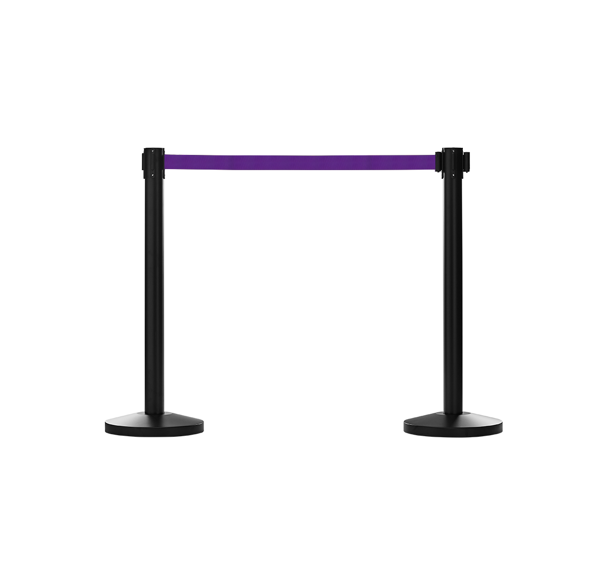 purple.png