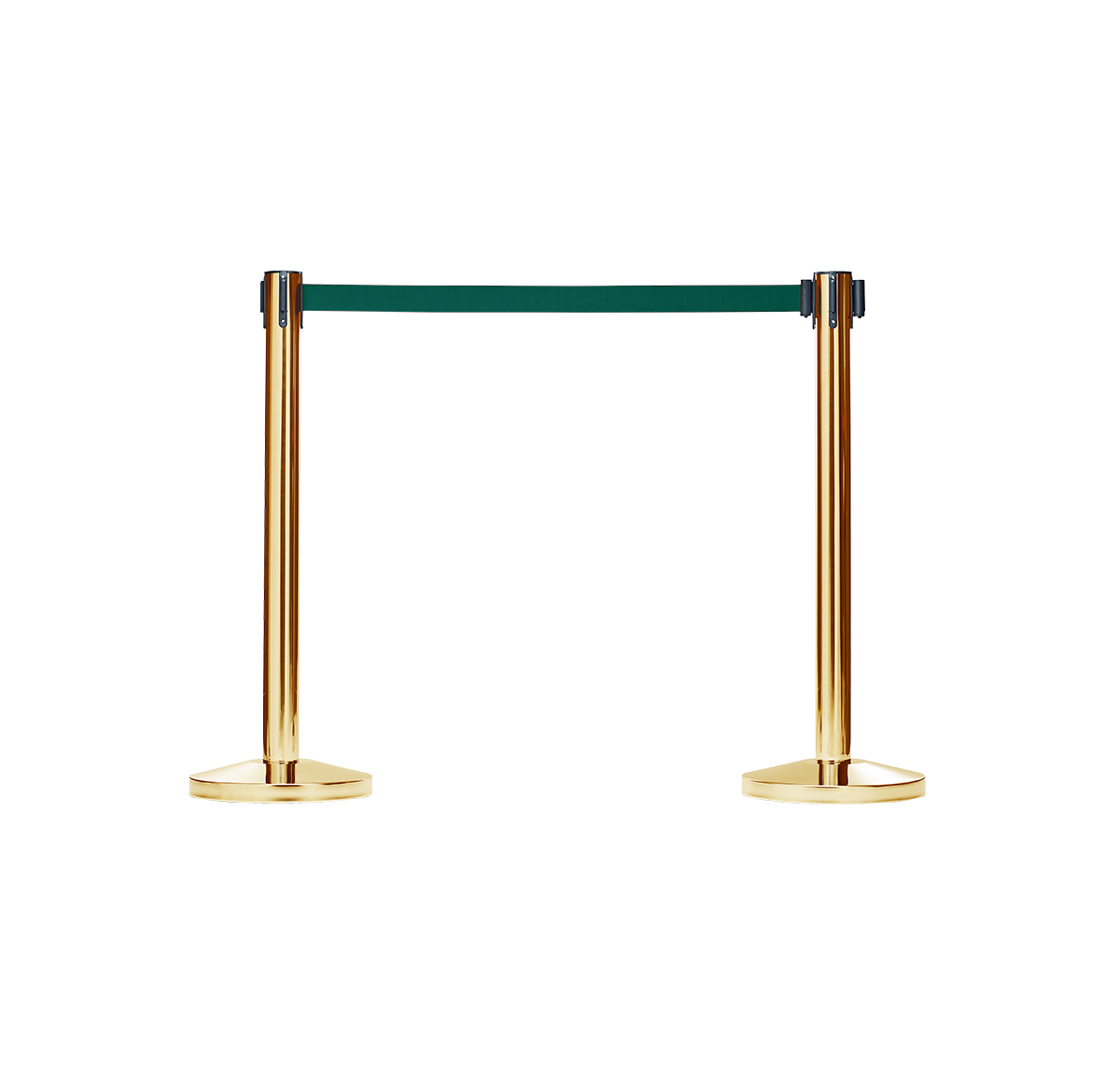 Dark Green.png
