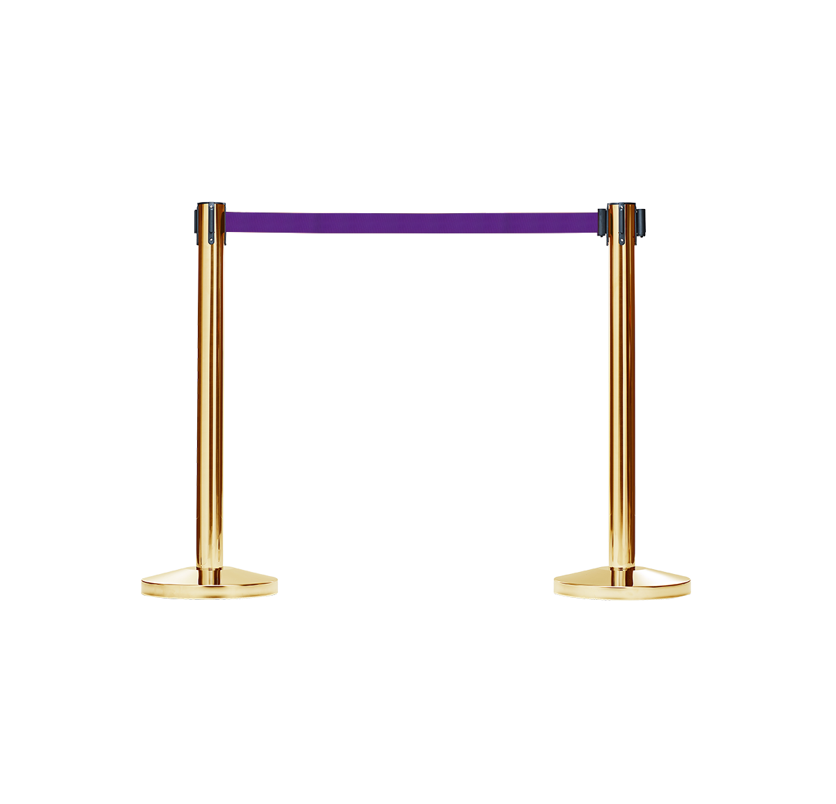 purple.png