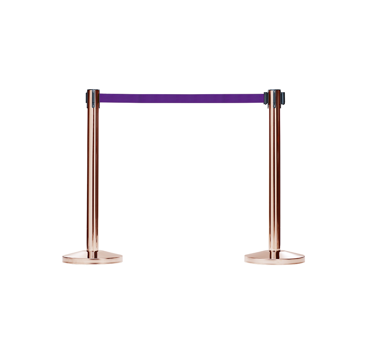 purple.png