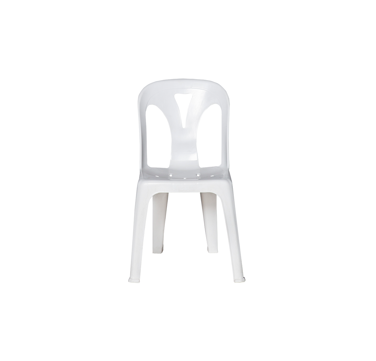 white8-2.png