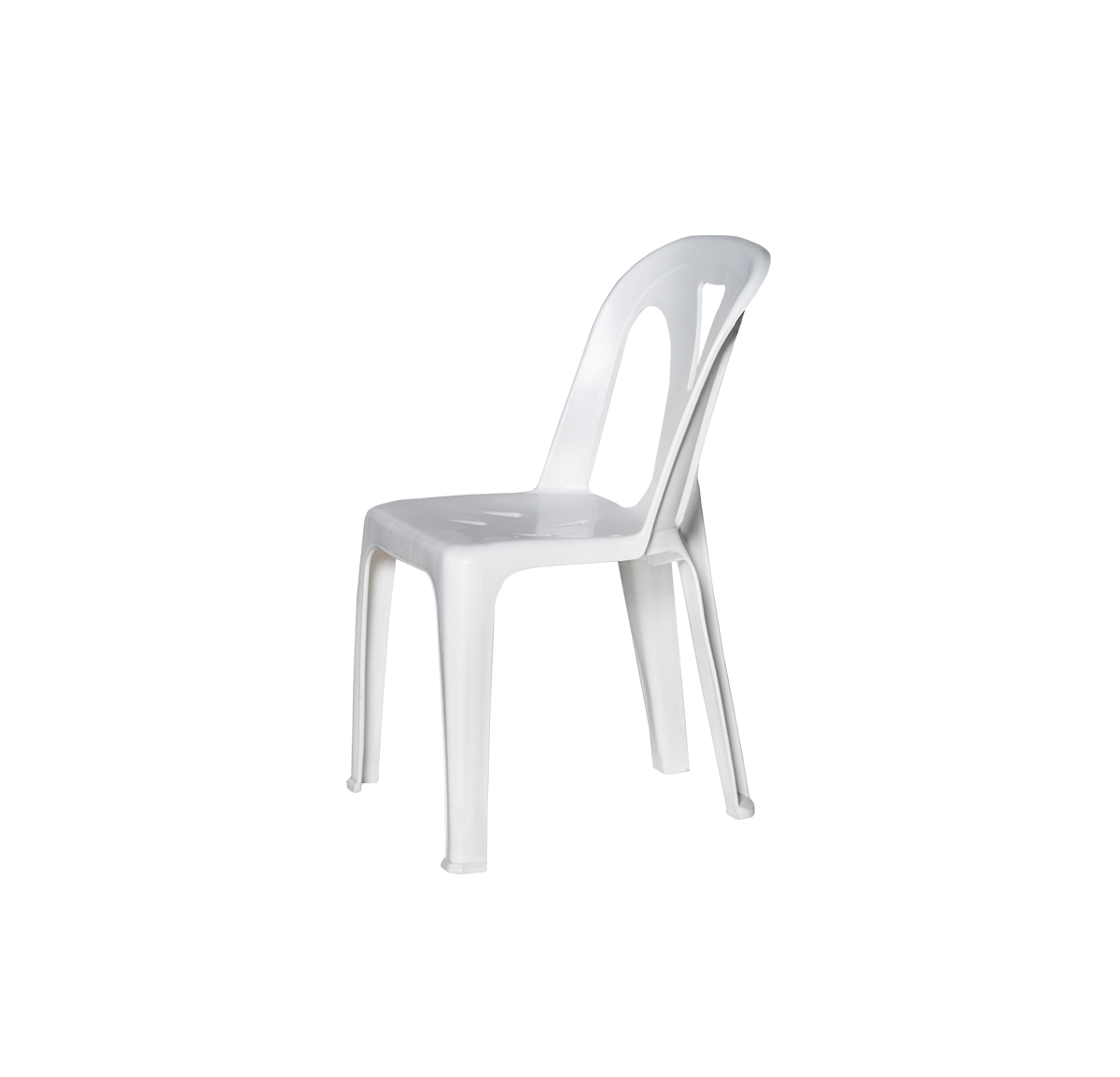 white8-1.png